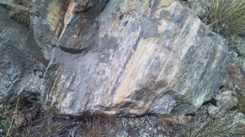 Гигантские зелёные валуны для ландшафтного дизайна весом более 5 тонн купить в Амурской области